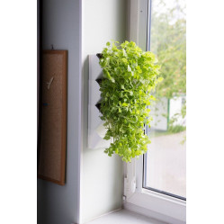 AQUAEL MODUŁ ŚCIENNY VERSA GARDEN HERBS