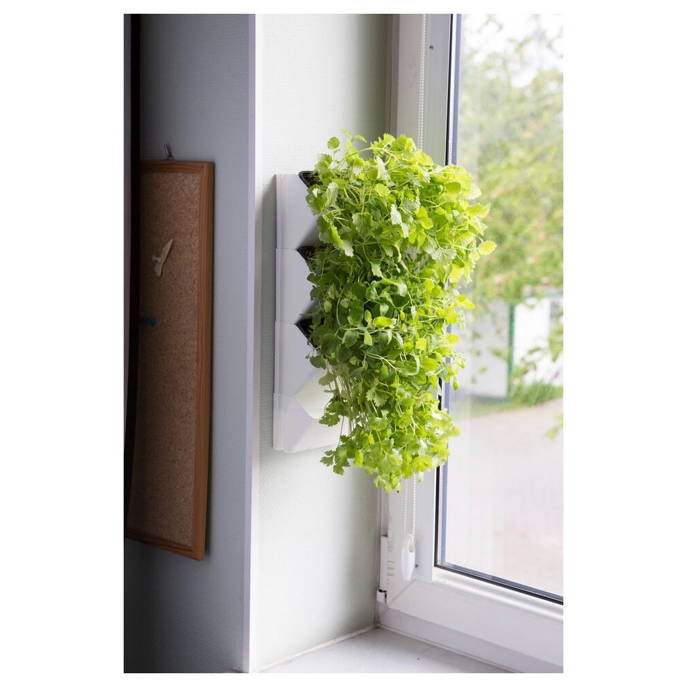 AQUAEL MODUŁ ŚCIENNY VERSA GARDEN HERBS AQUAEL MODUŁ ŚCIENNY VERSA GARDEN HERBS