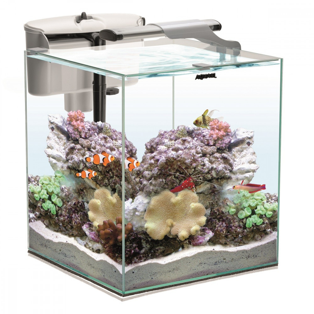 AQUAEL NANO REEF DUO 49l AQUAEL NANO REEF DUO 49l
