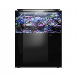 ZESTAW Glossy Marine 100 Set