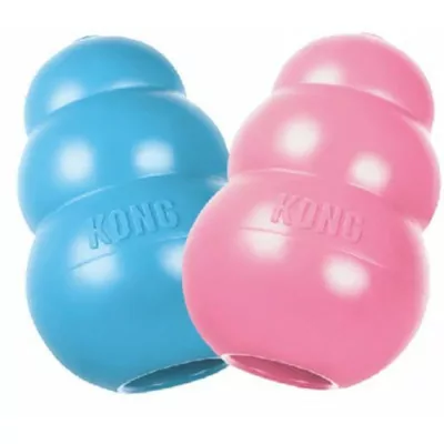 KONG PUPPY M