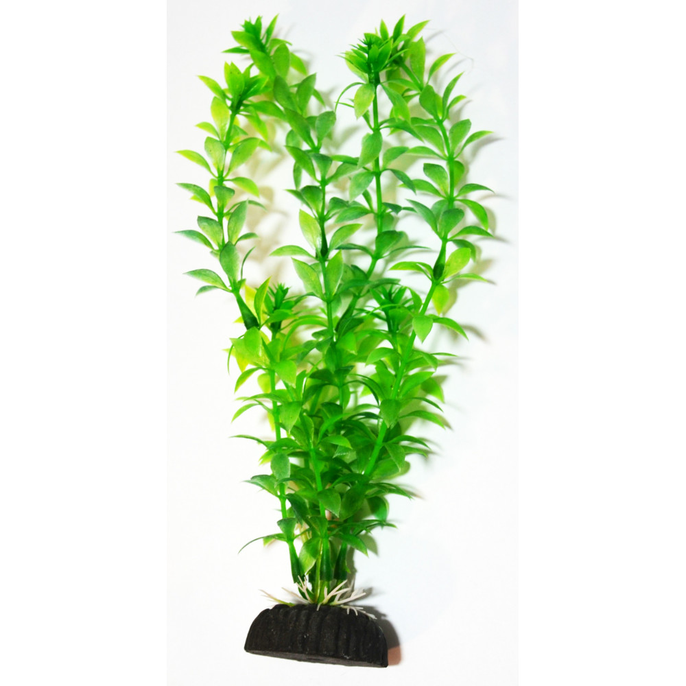 AQUAEL ROŚLINA PLASTIKOWA AP-012 8" (20CM) AQUAEL ROŚLINA PLASTIKOWA AP-012 8" (20CM)