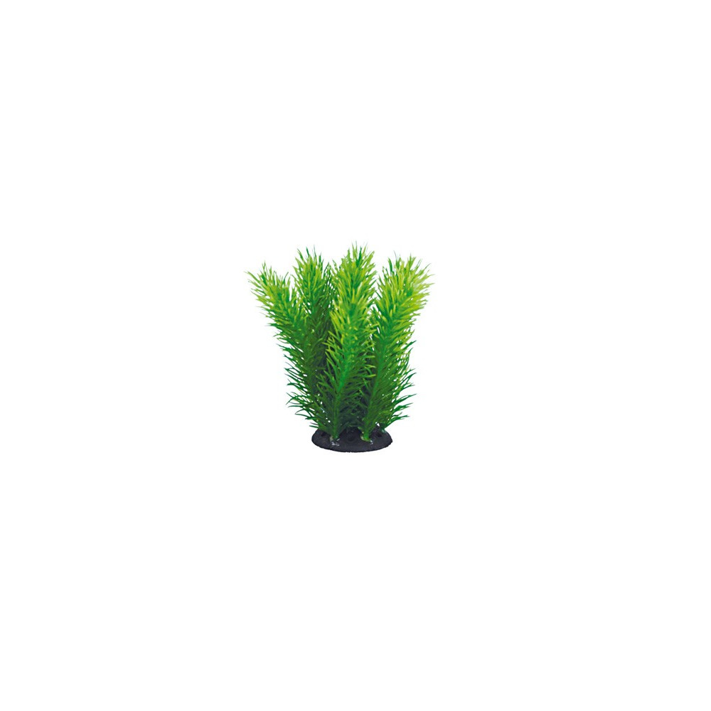 AQUAEL ROŚLINA PLASTIKOWA KĘPKOWA PR-402 4'' (10CM) AQUAEL ROŚLINA PLASTIKOWA KĘPKOWA PR-402 4'' (10CM)