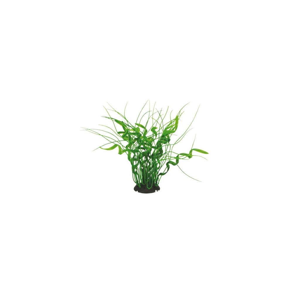 AQUAEL ROŚLINA PLASTIKOWA KĘPKOWA CP-035 8'' (20CM) AQUAEL ROŚLINA PLASTIKOWA KĘPKOWA CP-035 8'' (20CM)
