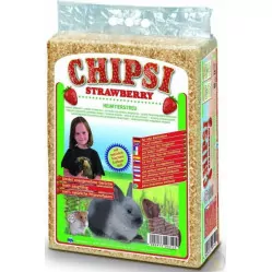 CHIPSI TROCINY TRUSKAWKOWE 1KG