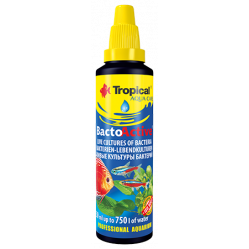 TROPICAL BACTO ACTIVE 100ML