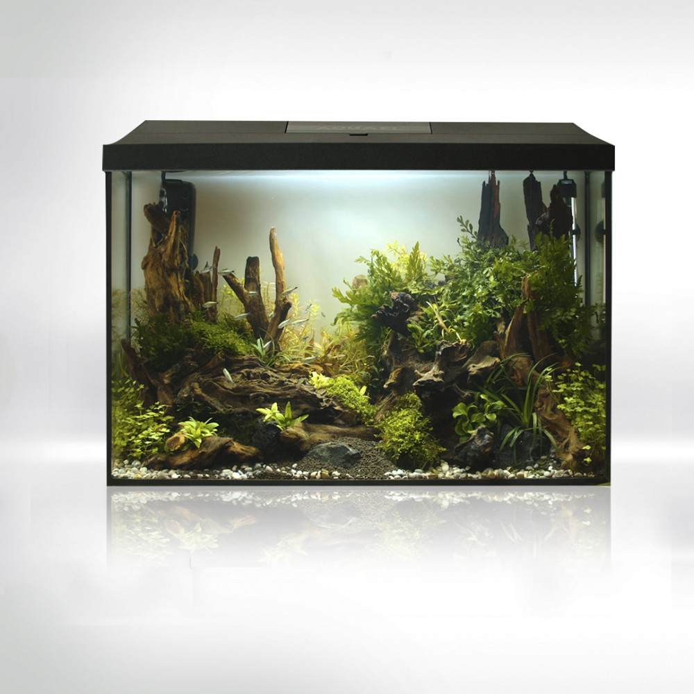 LEDDY XL DAY&NIGHT 40 LEDDY XL DAY&NIGHT 40