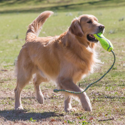 KONG AIR FETCH STICK W/ROPE LARGE