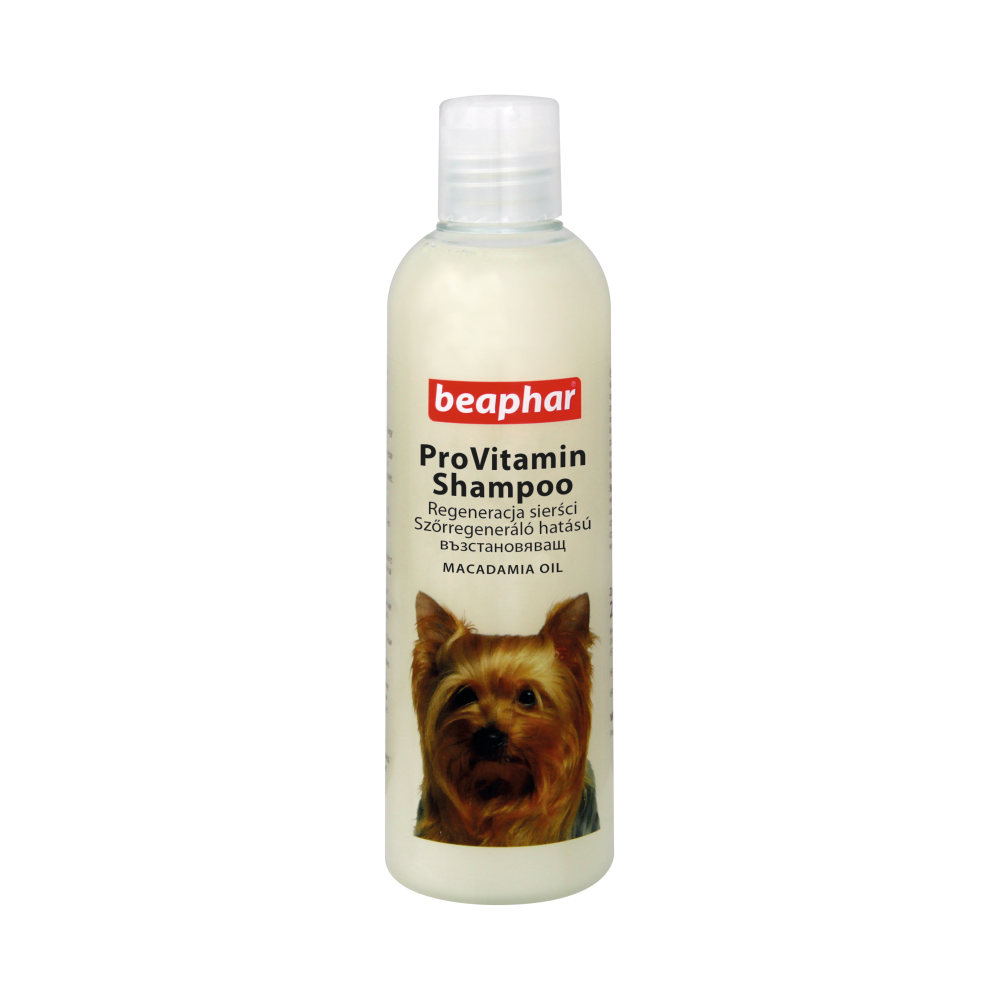 BEAPHAR SZAMP PIES REGENERUJĄCY 250ML BEAPHAR SZAMP PIES REGENERUJĄCY 250ML