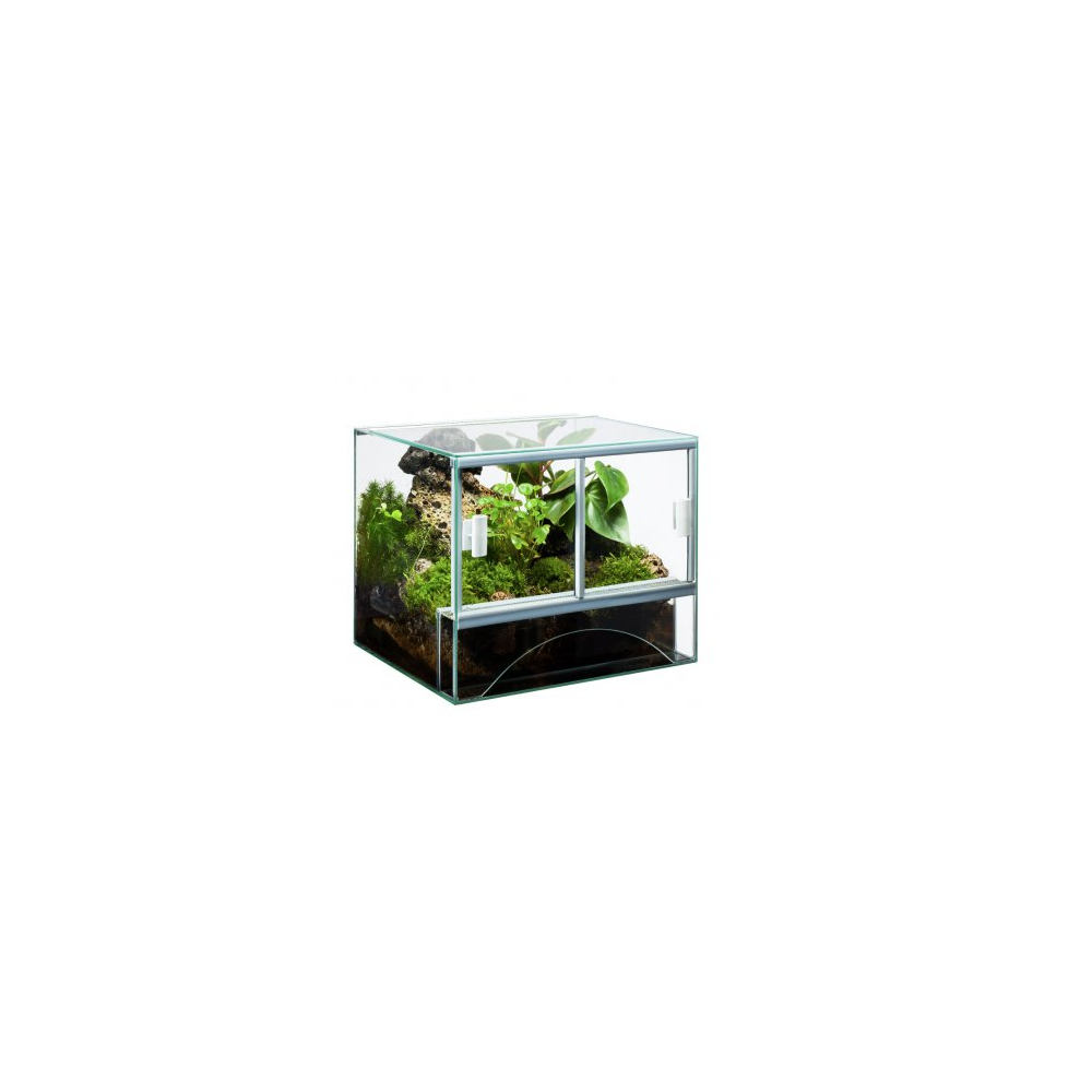 DIVERSA TERRARIUM 50X30X40 60 3MM DIVERSA TERRARIUM 50X30X40 60 3MM