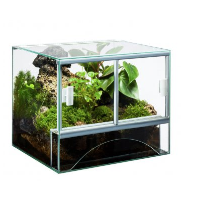 DIVERSA TERRARIUM 50X30X40 60 3MM