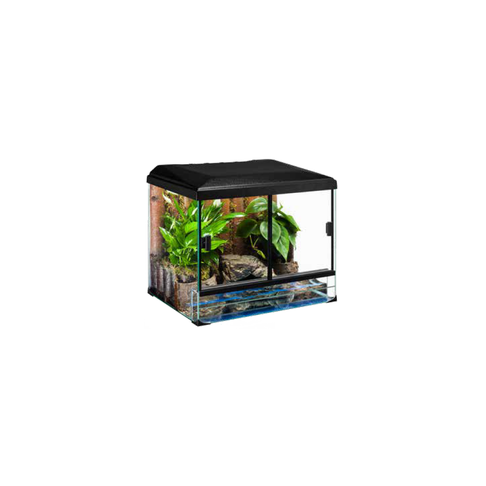 DIVERSA ZESTAW TERRASET TURTLE 60X40X45