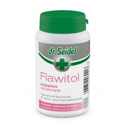 DR SEIDEL FLAWITOL SZCZENIĘ 120 TAB
