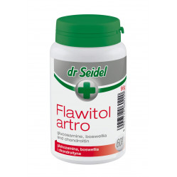 DR SEIDEL FLAWITOL ARTO 60 TAB