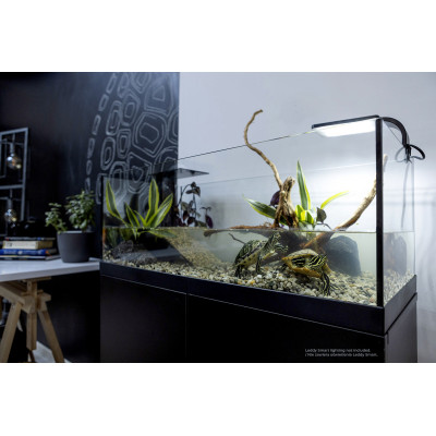 AQUAEL AQUATERRARIUM 60