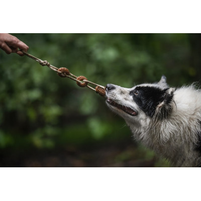 COMFY ZABAWKA DENTAL TOOTHER ECO WOODY 3EL