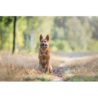 ECOMFY ZABAWKA DENTAL BONE 8,5CM OLIVE