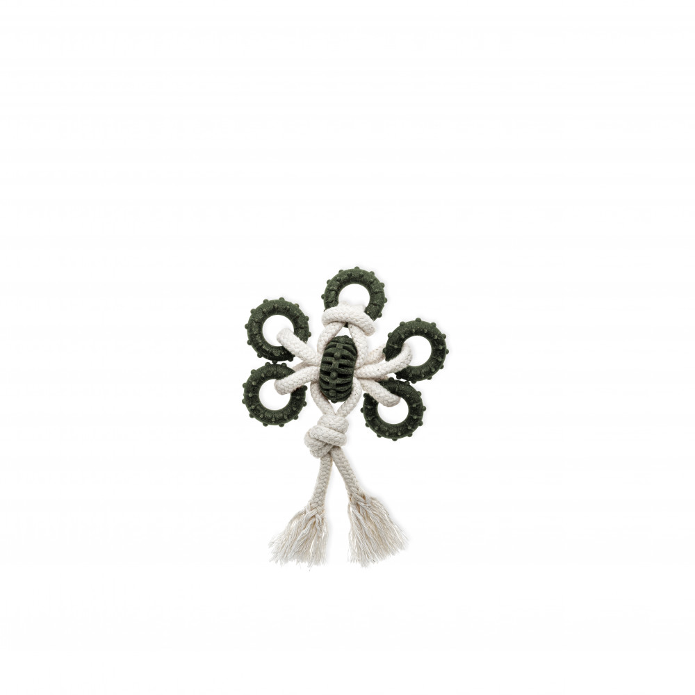COMFY ZABAWKA DENTAL TOOTHER ECO OLIVE MOTYL COMFY ZABAWKA DENTAL TOOTHER ECO OLIVE MOTYL