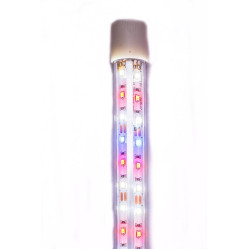 DIVERSA OŚWIETLENIE LED EXPERT KOLOR 19 W