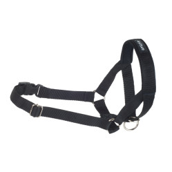 AMIPLAY HALTER BASIC M CZARNY