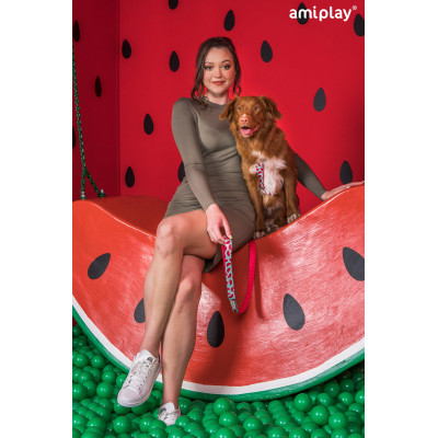 AMIPLAY SZELKI GUARD BE HAPPY L WATERMELON