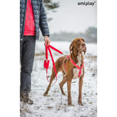 AMIPLAY TOREBKA NA WORKI NA ODCHODY SAMBA SZARY