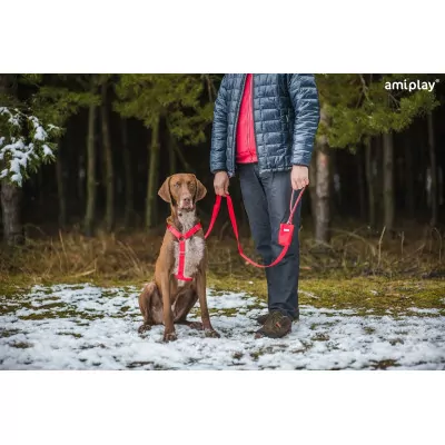 AMIPLAY SMYCZ REGULOWANA 8 in 1 M CZARNY