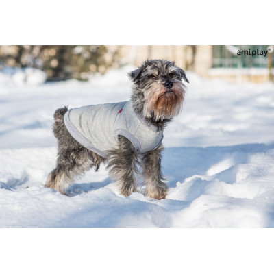 AMIPLAY BLUZA DENVER 40 CM MINIATURE SCHNAUZER CZERWONO-SZARY