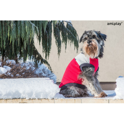 AMIPLAY BLUZA DENVER 40 CM MINIATURE SCHNAUZER CZERWONO-SZARY