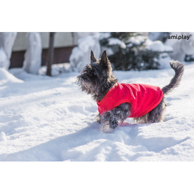 AMIPLAY BLUZA DENVER 40 CM MINIATURE SCHNAUZER SZARY