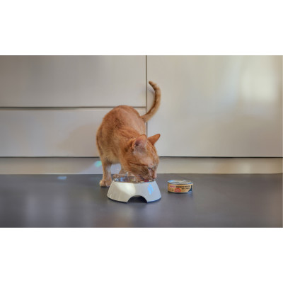 COMFY APPETIT PREMIUM MOUSSE KRÓLIK 85G