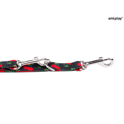 AMIPLAY SMYCZ 7 IN 1 BE HAPPY S 1-2M CHERRY