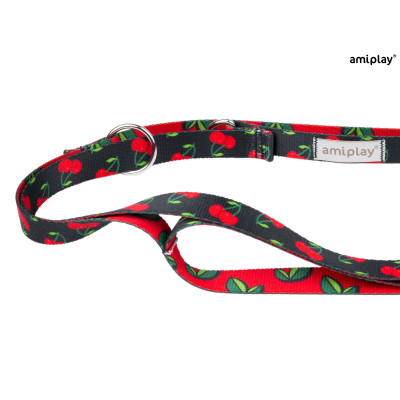 AMIPLAY SMYCZ 7 IN 1 BE HAPPY S 1-2M CHERRY