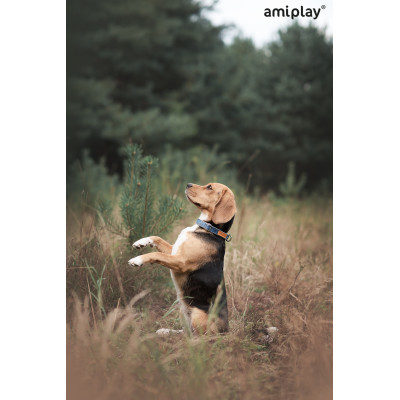 AMIPLAY OBROŻA REGULOWANA DENIM M GRANATOWY
