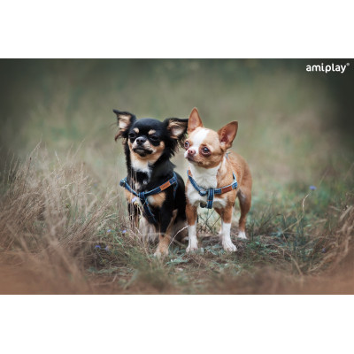 AMIPLAY SZELKI REGULOWANE DENIM S NIEBIESKI