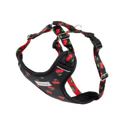 AMIPLAY SZELKI DISCOVERY BEHAPPY M CHERRY