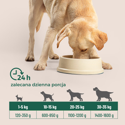 COMFY APPETIT VITA INDYK 400G