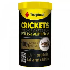 TROPICAL CRICKETS 250ML/25G