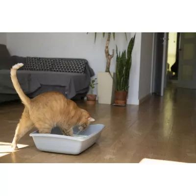 PET INN ŻWIREK SILIKONOWY 3,8 L