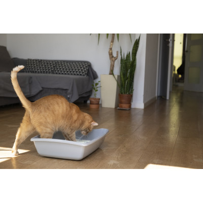 PET INN ŻWIREK SILIKONOWY 3,8 L