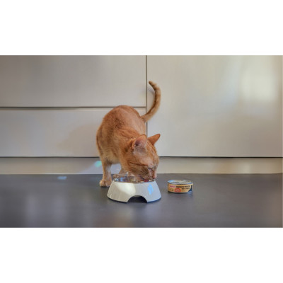 PAKIET COMFY APPETIT PREMIUM MOUSSE MIX 16X85G