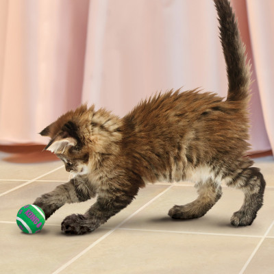 KONG CAT ACTIVE TENNIS BALLS WITH BELLS
