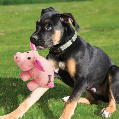 KONG PHATZ PIG S