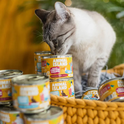 ANIMAL ISLAND MOKRA KARMA DLA KOTA KURCZAK ŁOSOŚ 200G