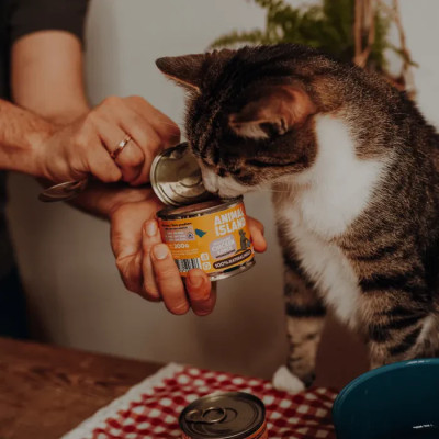 ANIMAL ISLAND MOKRA KARMA DLA KOTA KURCZAK KACZKA 200G
