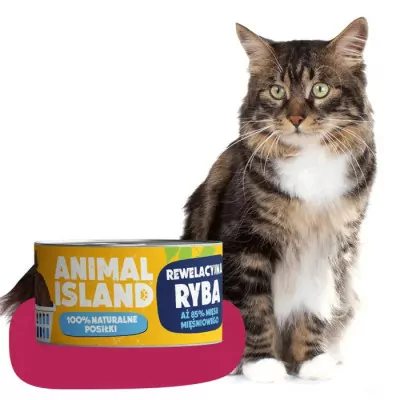 ANIMAL ISLAND MOKRA KARMA DLA KOTA RYBA MONOPROTEINA 100G