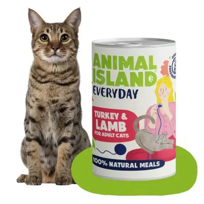 ANIMAL ISLAND MOKRA KARMA DLA KOTA INDYK JAGNIĘCINA EVERYDAY 400G