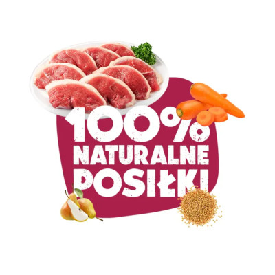 ANIMAL ISLAND MOKRA KARMA DLA PSA KACZKA Z MARCHEWKĄ I GRUSZKĄ 400G