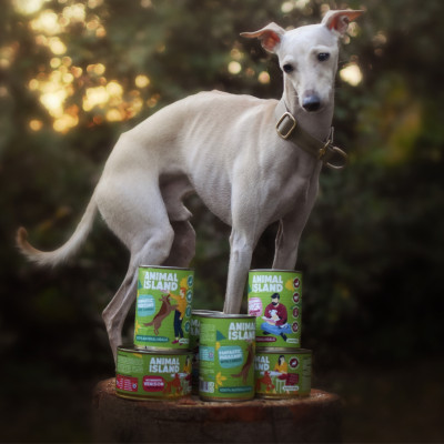 ANIMAL ISLAND MOKRA KARMA DLA PSA KACZKA Z MARCHEWKĄ I GRUSZKĄ 400G