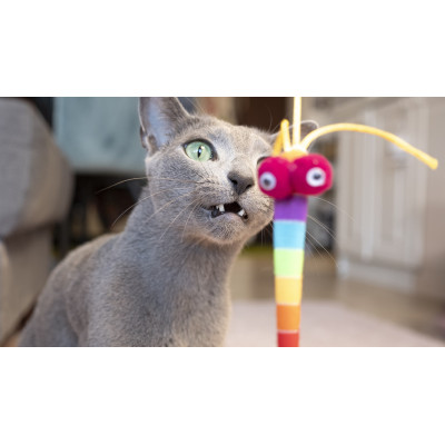 HAVE A PET ZABAWKA WILMA WĘDKA TĘCZA 42CM